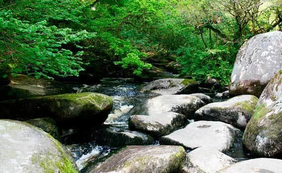 مبيت وإفطار Kergrist-Moelou Moulin De La Civiere المظهر الخارجي الصورة