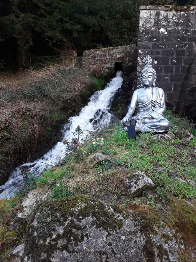 مبيت وإفطار Kergrist-Moelou Moulin De La Civiere المظهر الخارجي الصورة